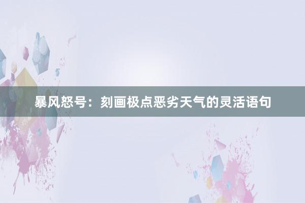 暴风怒号：刻画极点恶劣天气的灵活语句